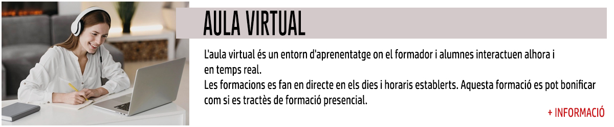aula-virtual.jpg