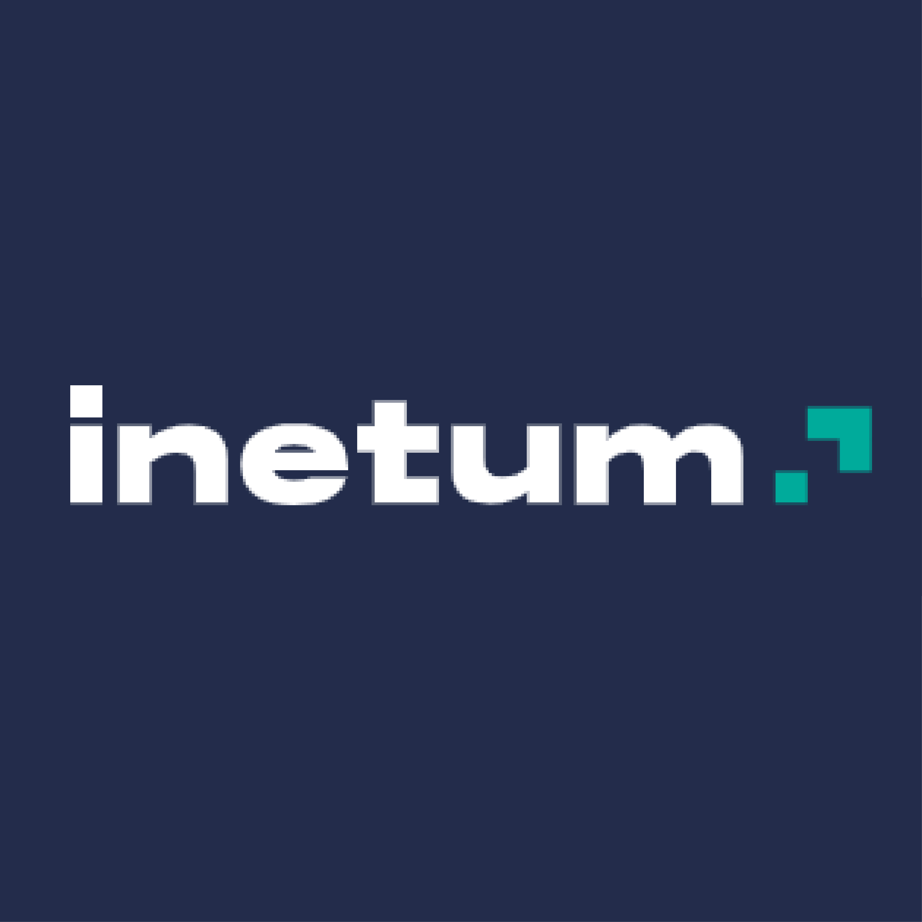 inetum.jpg